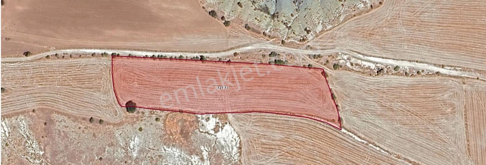 Ecrin Emlaktan Yazpınar'ında Fırsat 10.533 M2 Tarla - Görsel 6