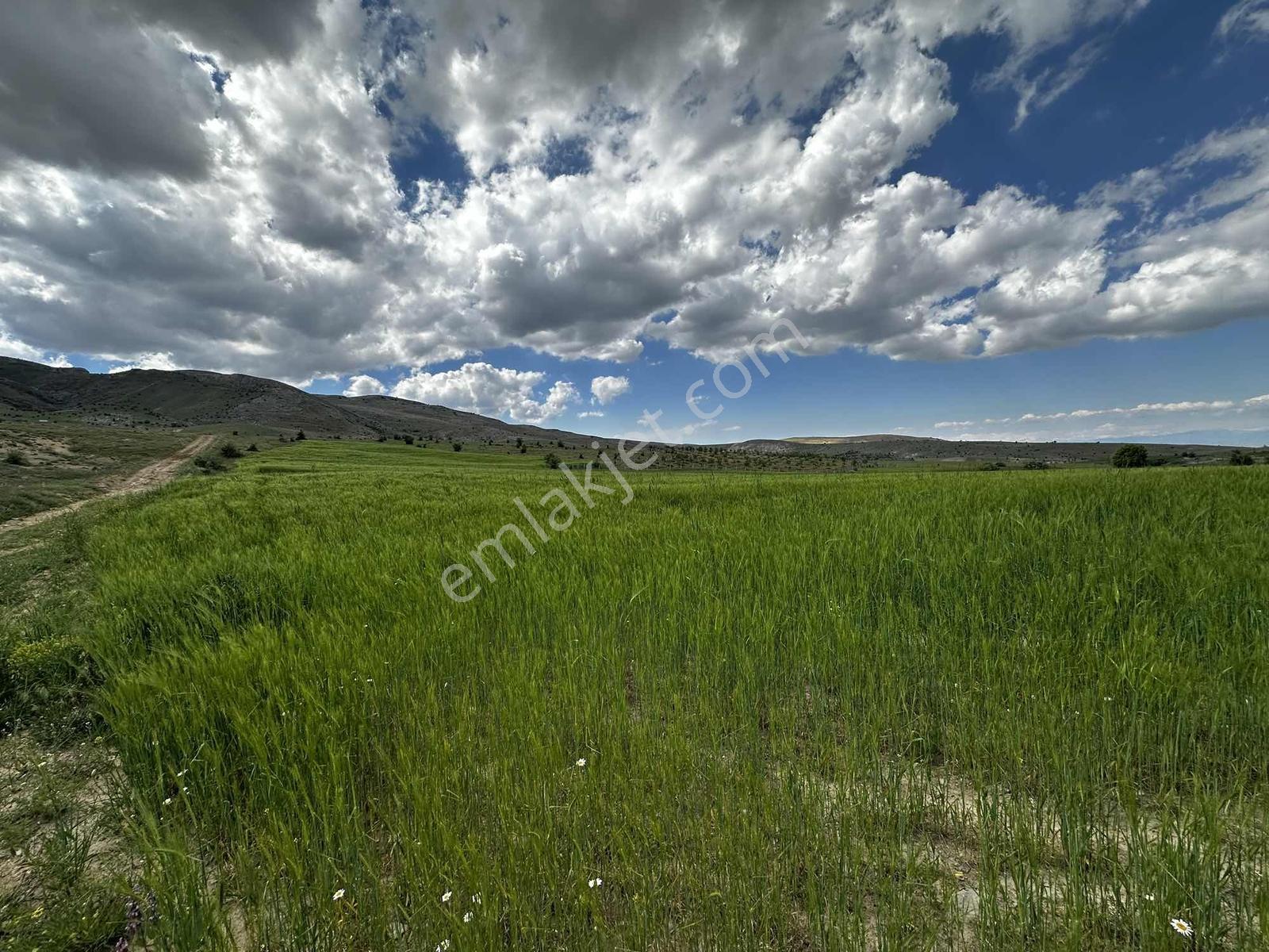 Sultanuşağı Köyünde 550 M2 Fırsat Tarla - Görsel 9