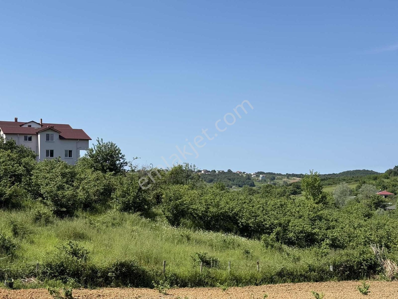 Arifağa'da 824 M2 %40 İmarlı Arsa Manzaralı Deniz Sahil Yakın - Görsel 7