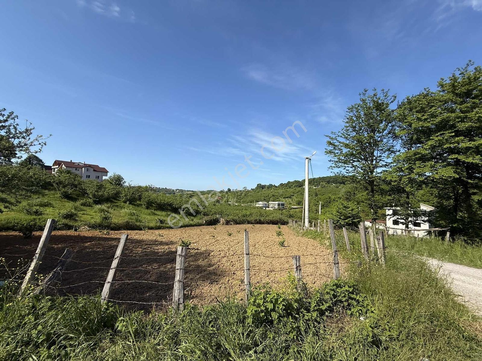 Arifağa'da 824 M2 %40 İmarlı Arsa Manzaralı Deniz Sahil Yakın - Görsel 17