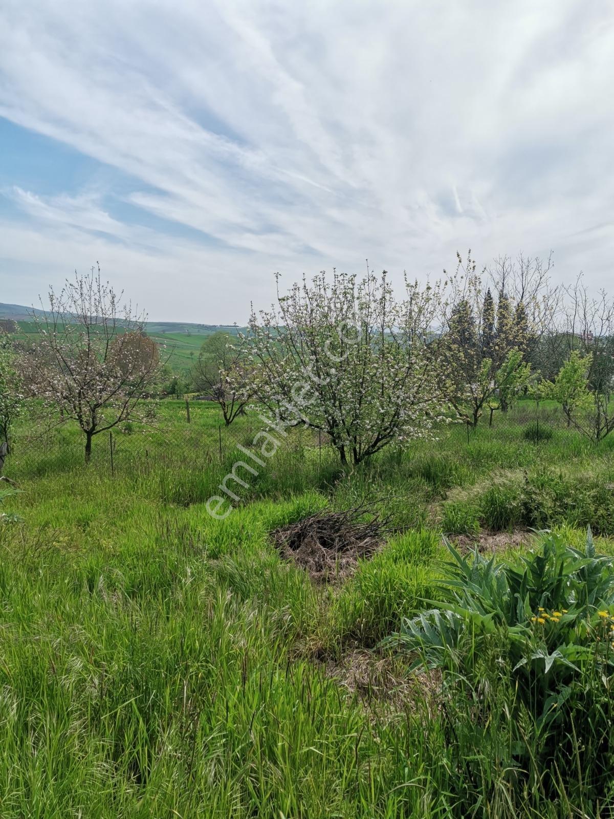 Arsa Fiyatına 3 Adet Ev 3.420 M2 İmarlı Arsa + İki Katlı Ev - Görsel 22