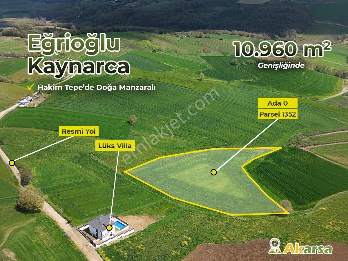 Sakarya Kaynarca Eğrioğlu Yol, Elektrik & Su Yatırımlık 11 Dönüm