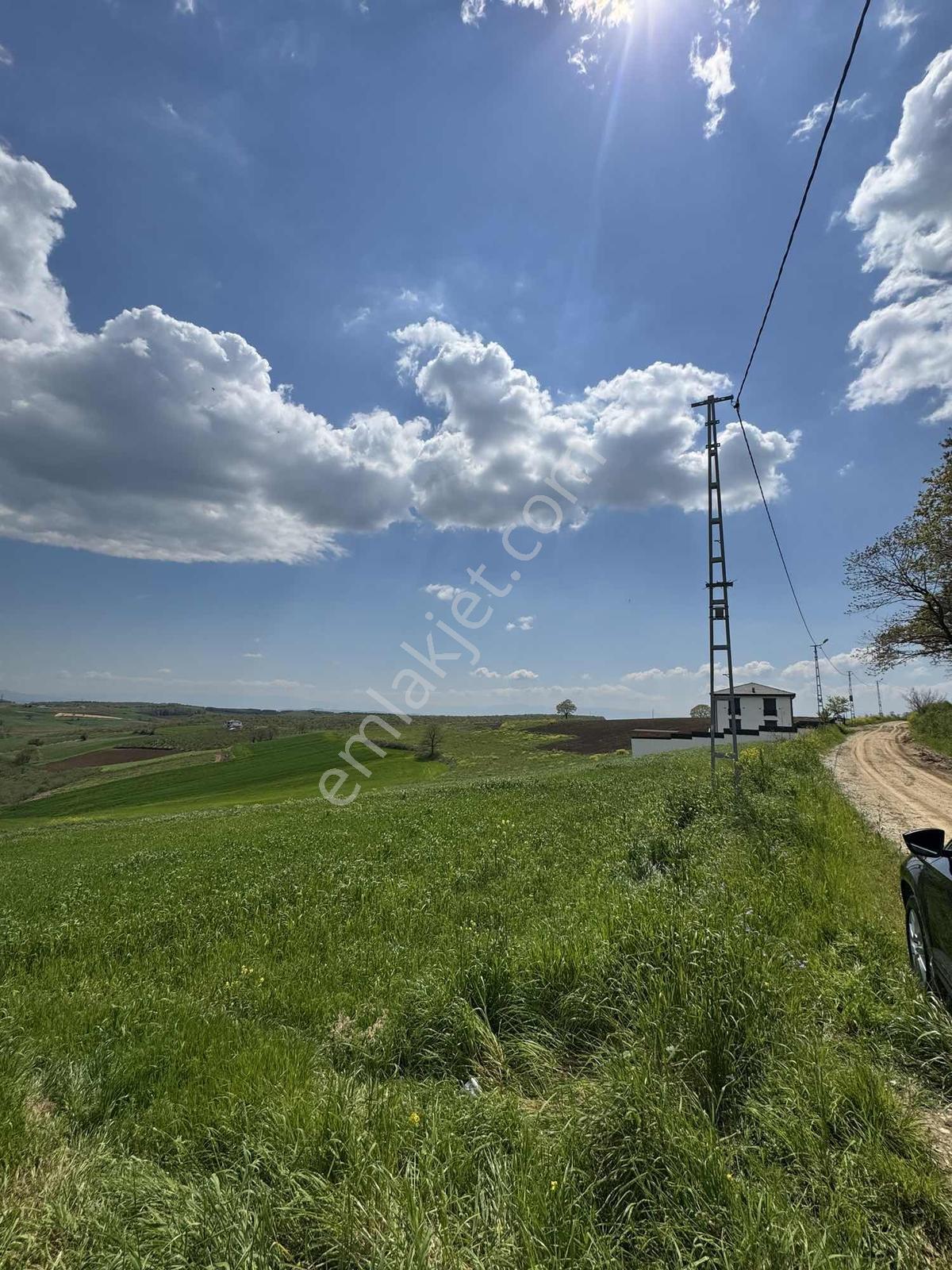 Sakarya Kaynarca Eğrioğlu Yol, Elektrik & Su Yatırımlık 11 Dönüm - Görsel 34
