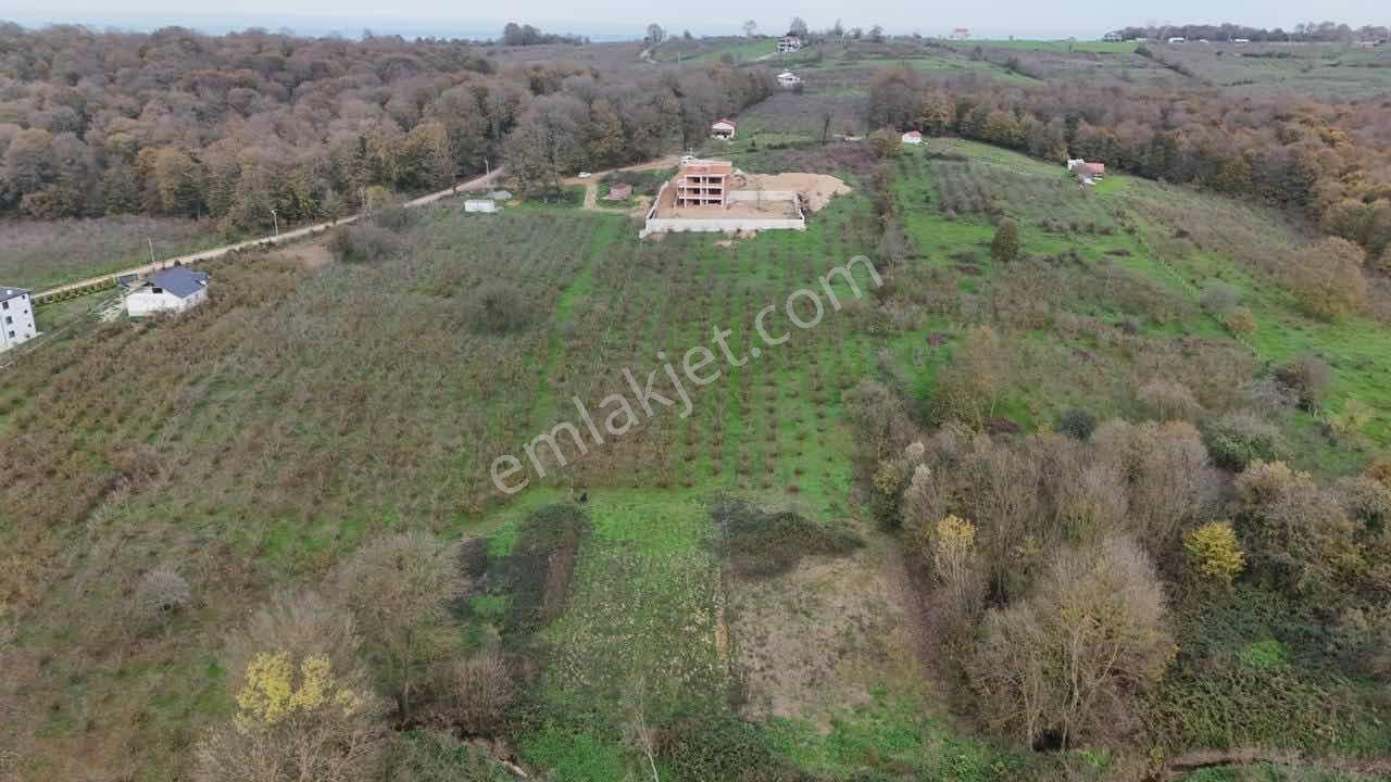 Fırsat!!!! Kaynarca Büyükyanıkta 1.293 M2 Yatırımlık Bahçe - Görsel 12