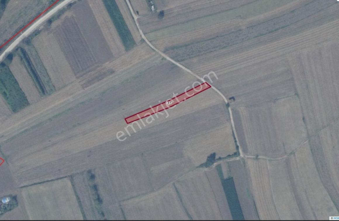 Adapazarı Kavaklıormanda 1.230 M2 Satılık Tarla !!