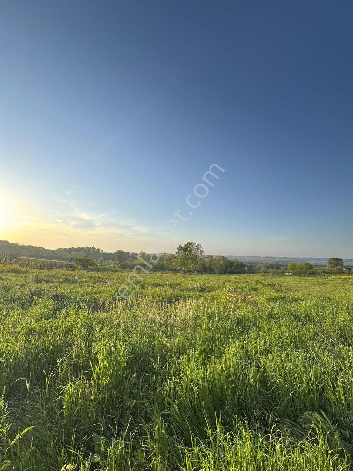 Kaynarca İşaret Mh. Deniz Manzaralı 1.465 M2 %40 İmarlı Arsa - Görsel 8