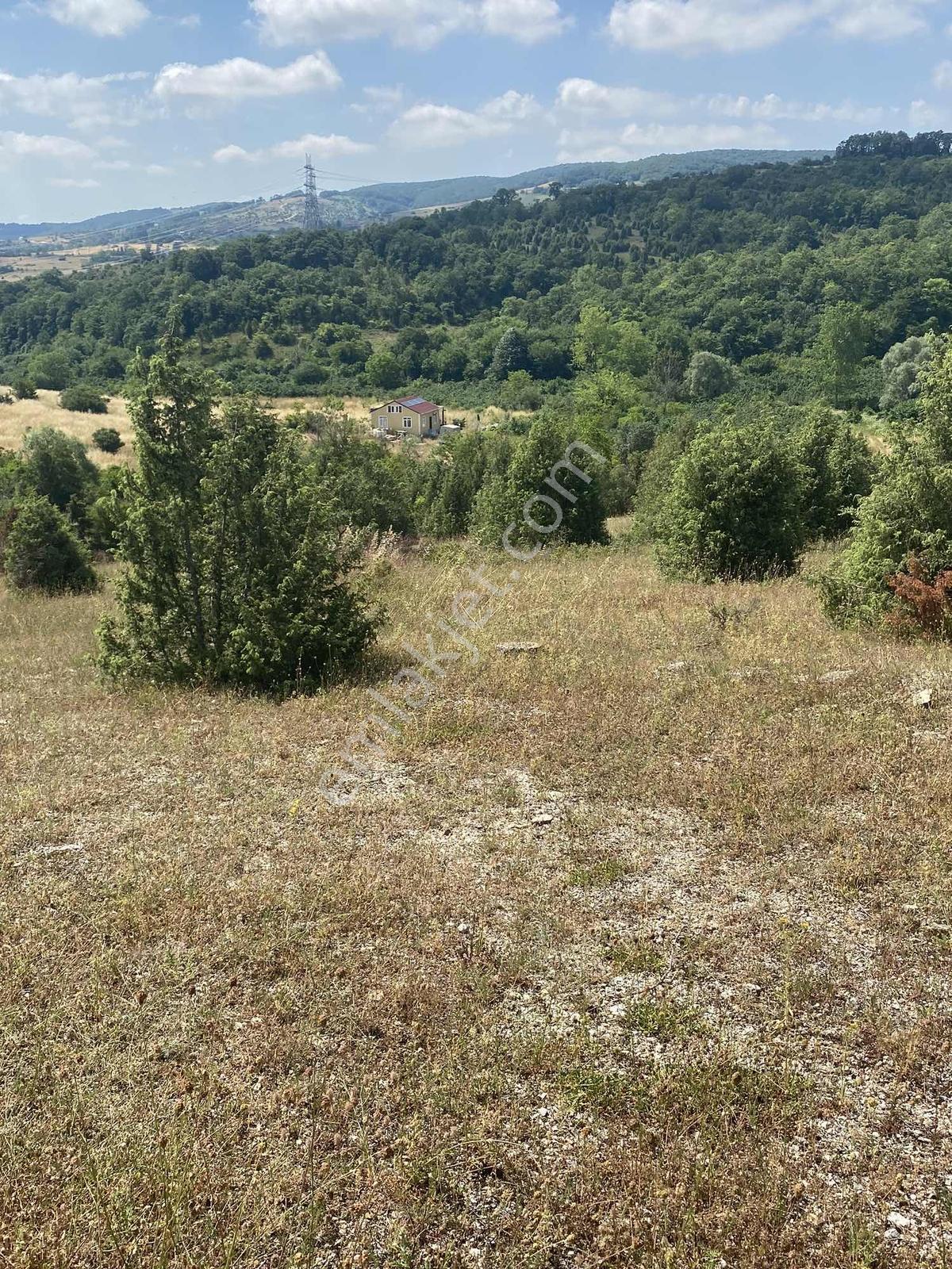 Ağaçağıl Köyün De İçin De Konteyneri Hazır Yatırımlık Arsa - Görsel 12