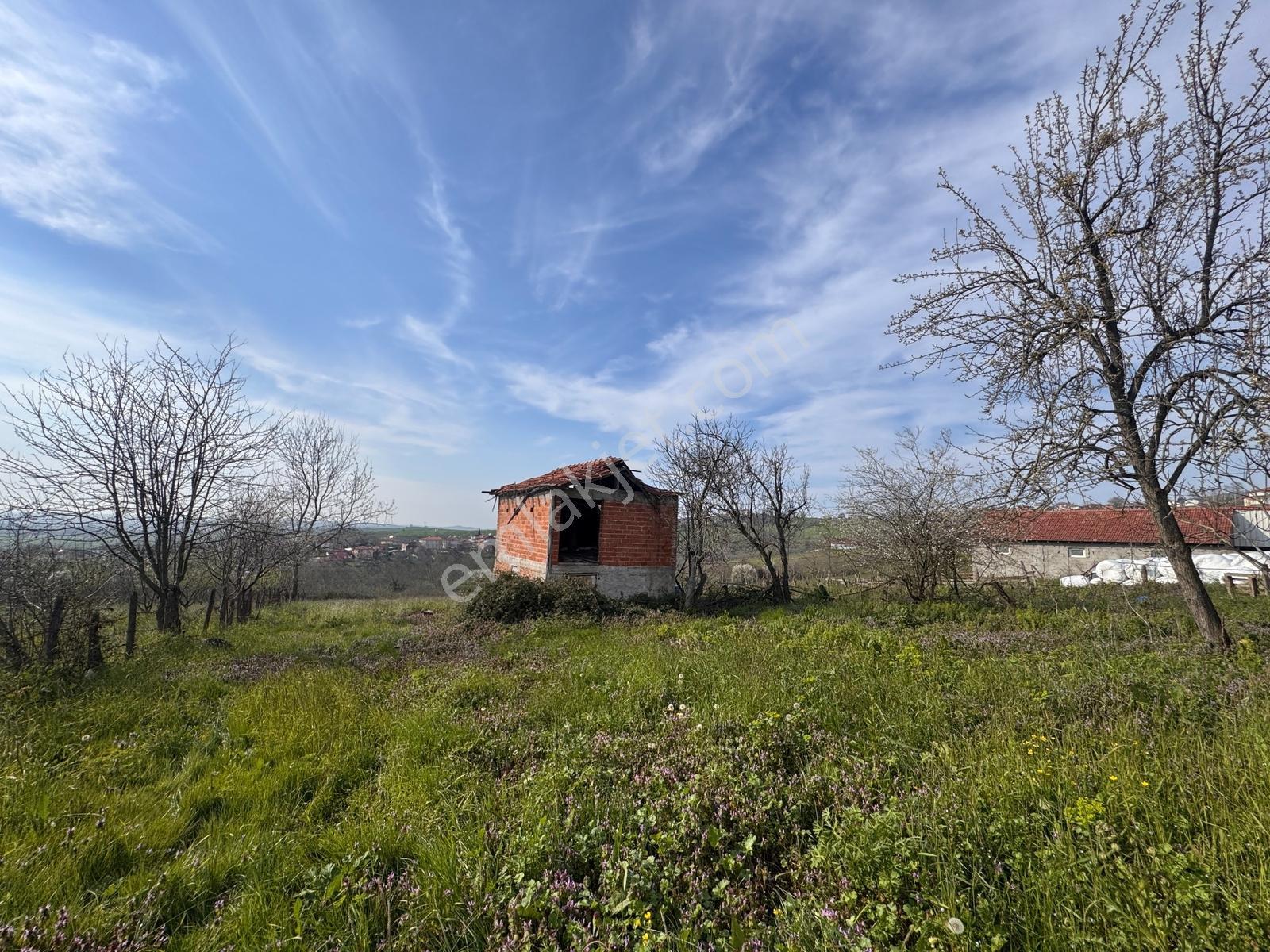 Ak Emlak'dan 1.530 M2 Arsa İçinde Tek Katlı Betonarme Ev Ve Ahır - Görsel 26
