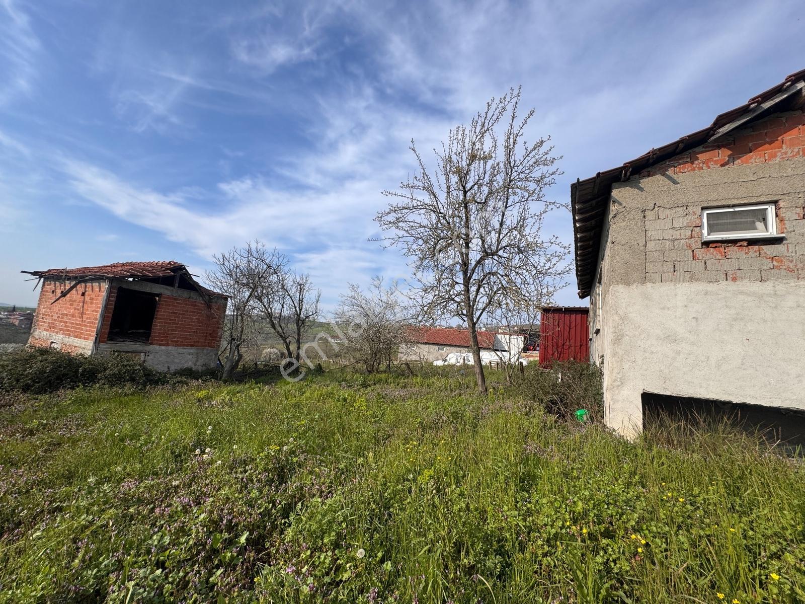 Ak Emlak'dan 1.530 M2 Arsa İçinde Tek Katlı Betonarme Ev Ve Ahır - Görsel 6