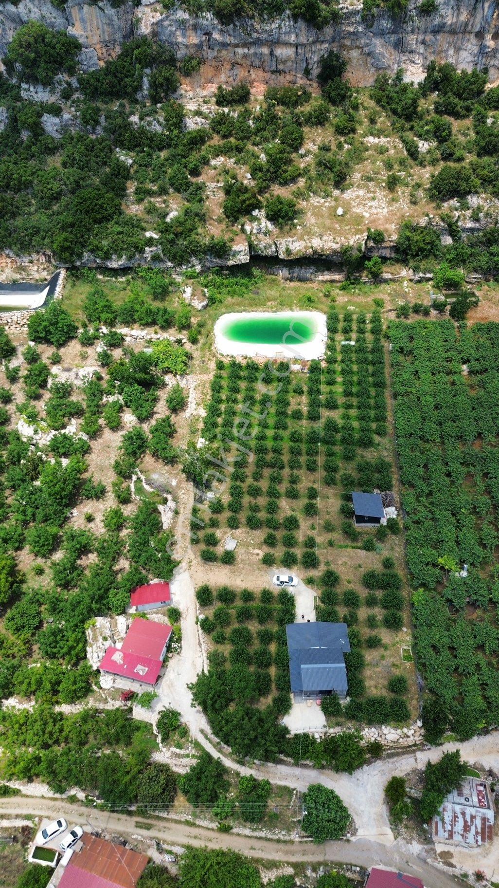 Arve'den Doğanın Tam Ortasında Prestijli Yaşam Ve Yatırım - Görsel 4