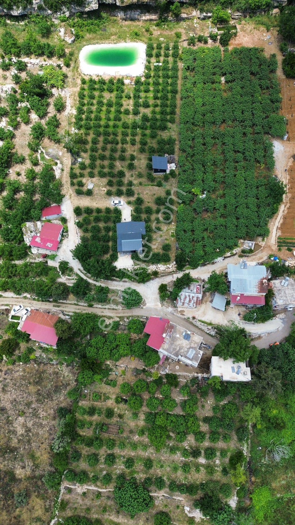 Arve'den Doğanın Tam Ortasında Prestijli Yaşam Ve Yatırım - Görsel 3