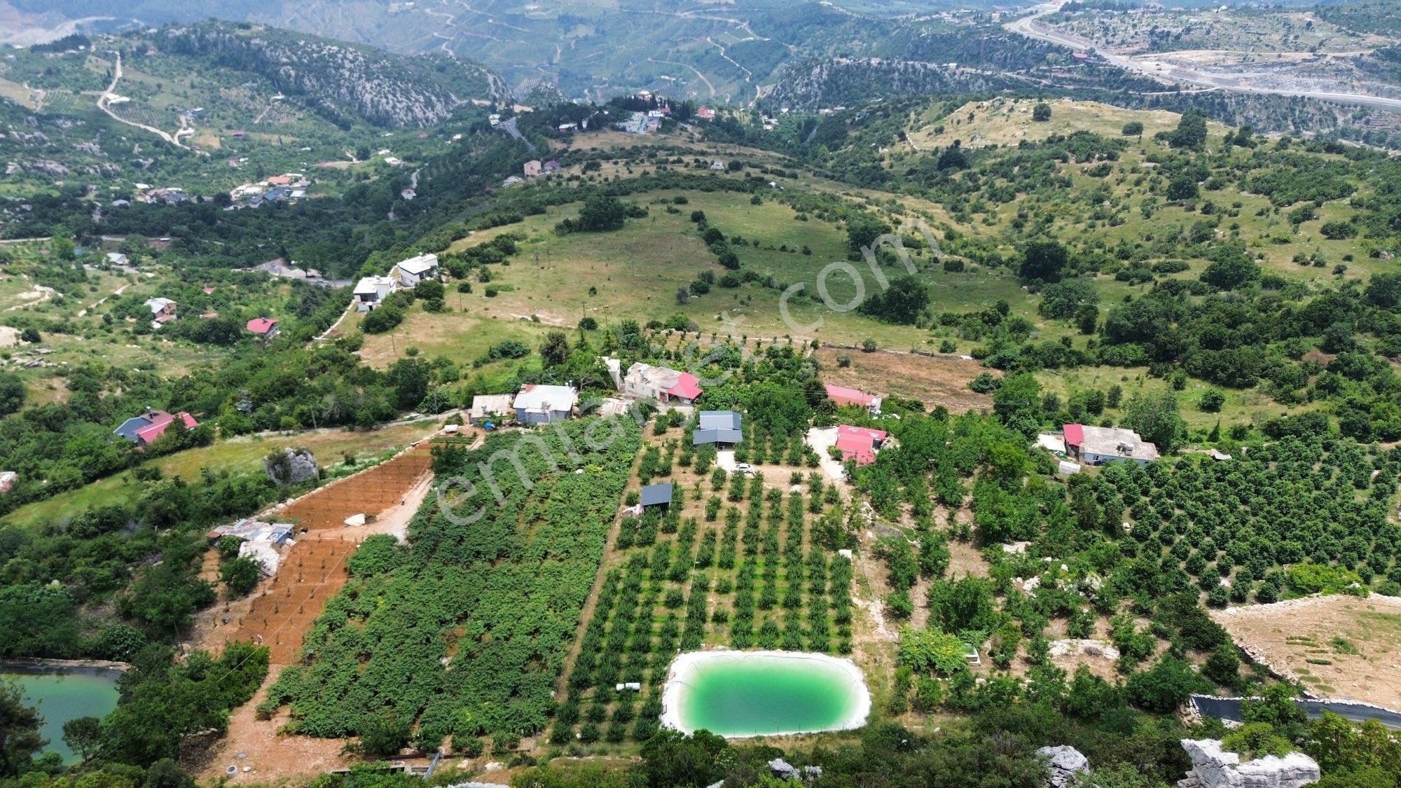 Arve'den Doğanın Tam Ortasında Prestijli Yaşam Ve Yatırım