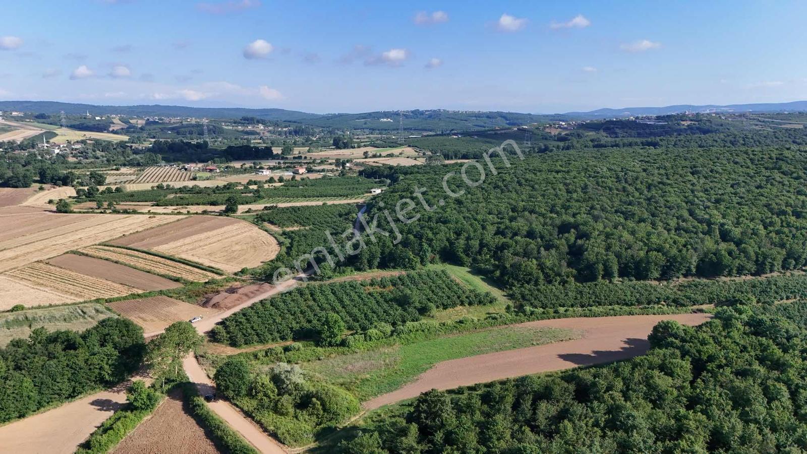 Karasu Duble Yola Yakın 3.450 M2 Yatırımlık Arsa - Görsel 5