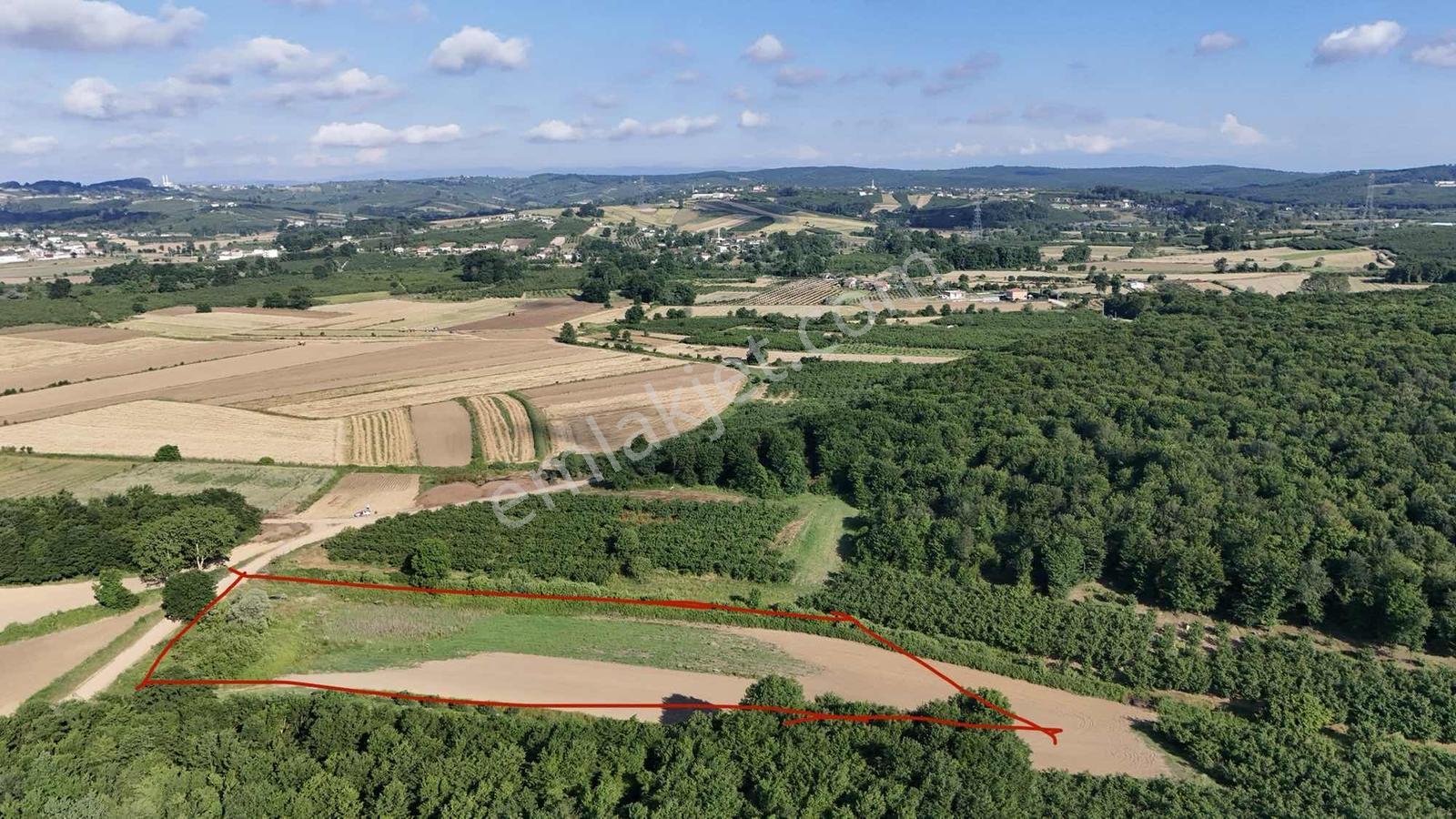 Karasu Duble Yola Yakın 3.450 M2 Yatırımlık Arsa - Görsel 7