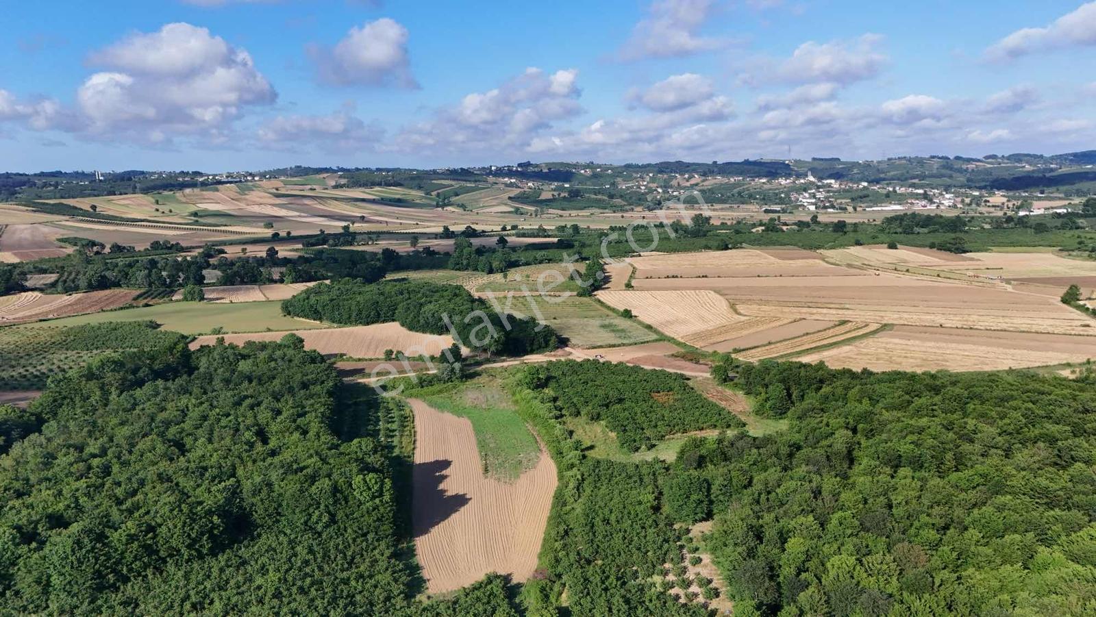 Karasu Duble Yola Yakın 3.450 M2 Yatırımlık Arsa - Görsel 3