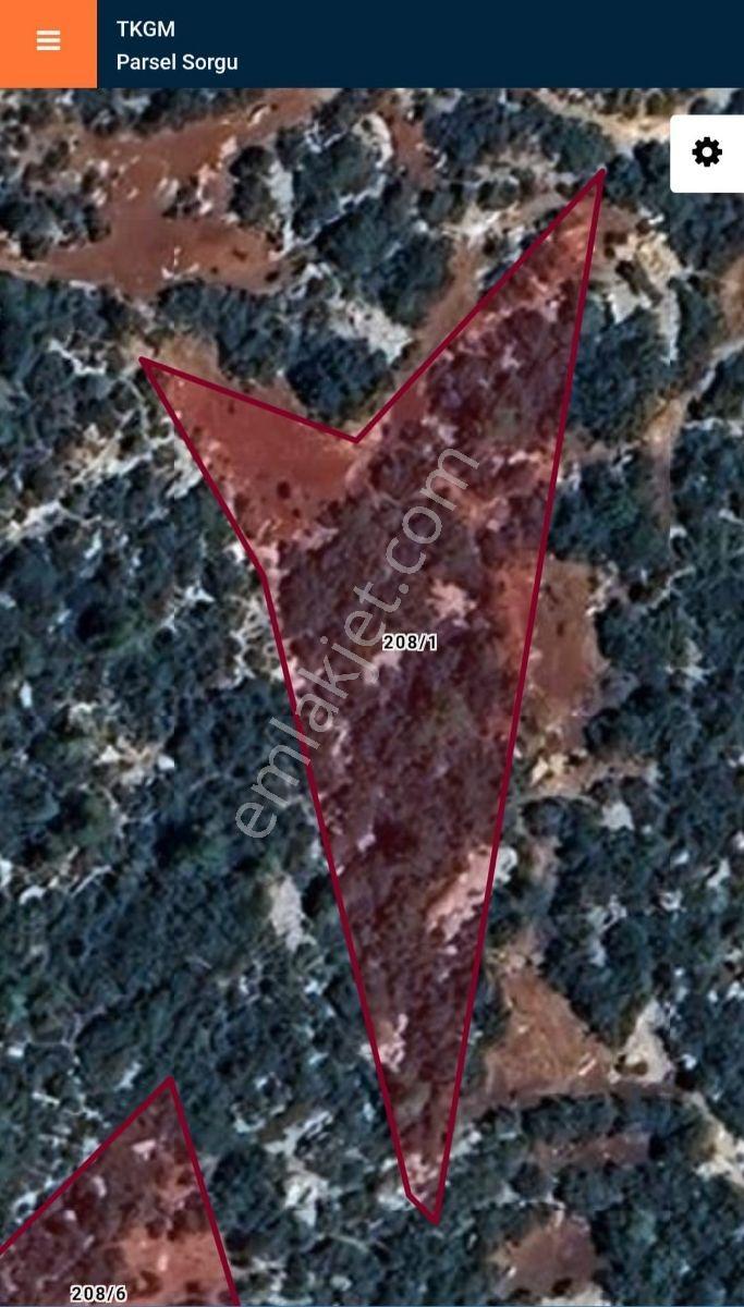 6 Parça Tapu Yan Yana Toplam 16.719 Metrekare - Görsel 6
