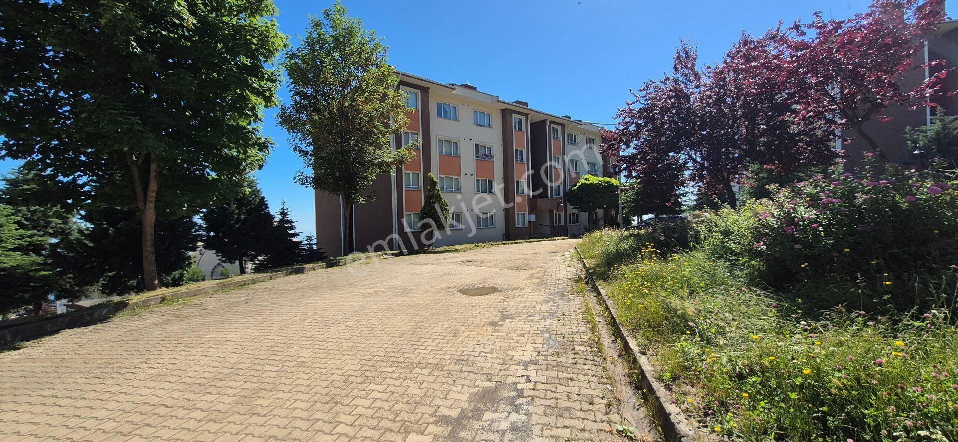 Golden Key Gayrimenkul'den Eşyalı Kiralık 1+1 Daire - Görsel 22