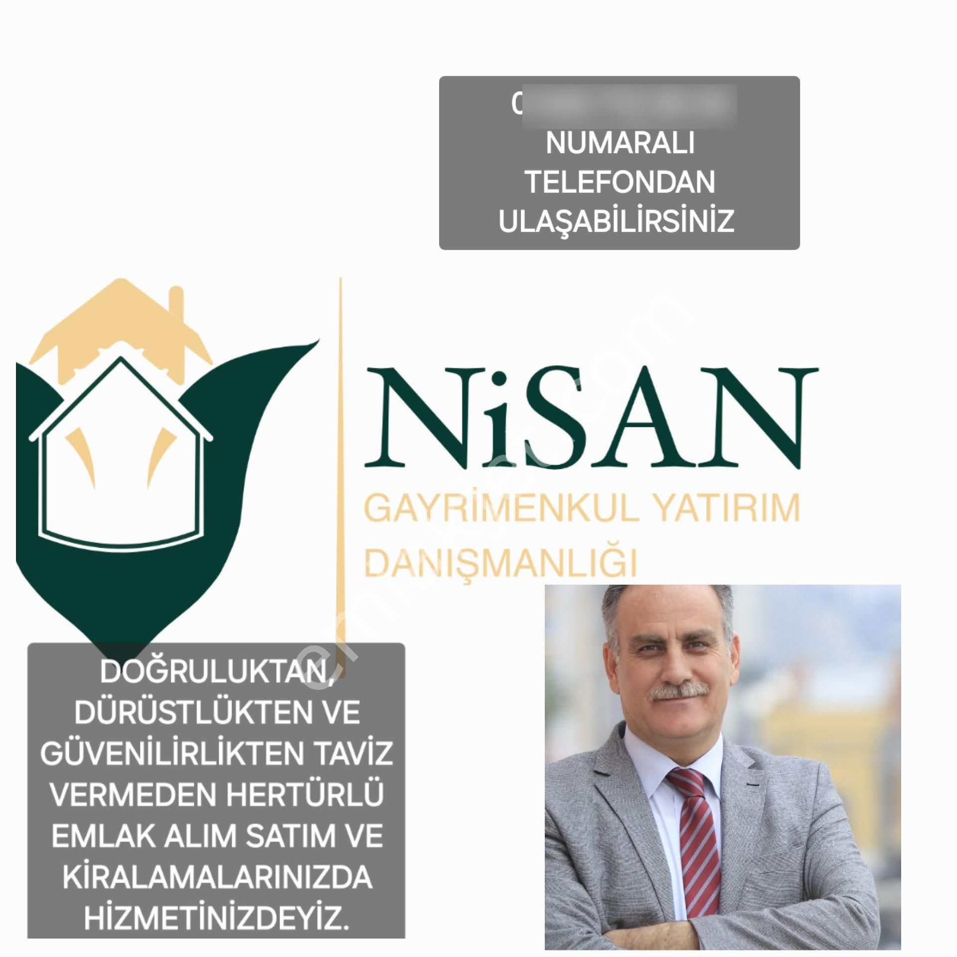 Aslanlar Köyünde Suyu Ve Yolu Olan Zeytinlik - Görsel 5