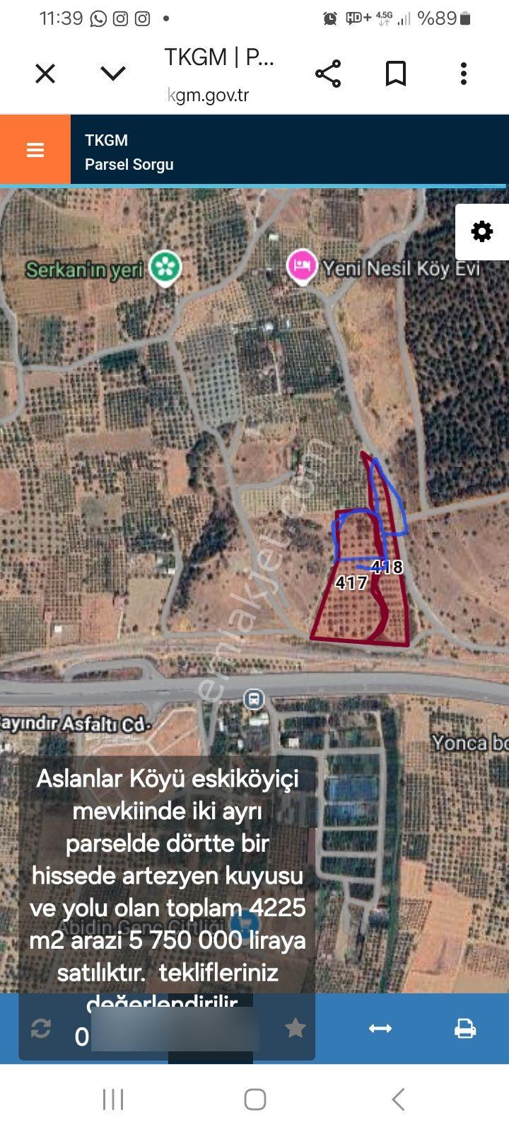 Aslanlar Köyünde Suyu Ve Yolu Olan Zeytinlik - Görsel 4