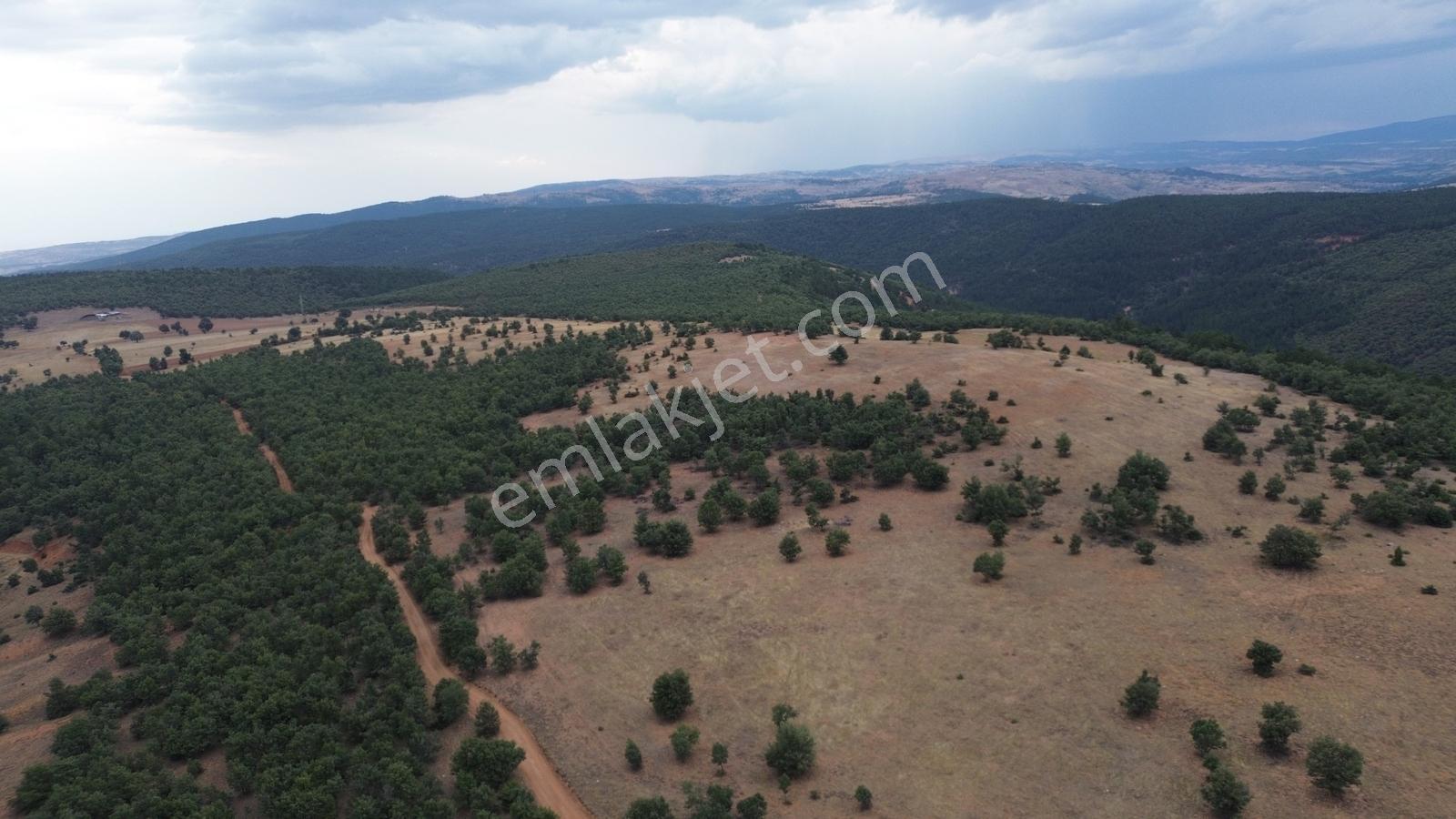 Konya / Doğanhisar / Cami Mahallesin De 8.113 M² Müstakil Tarla