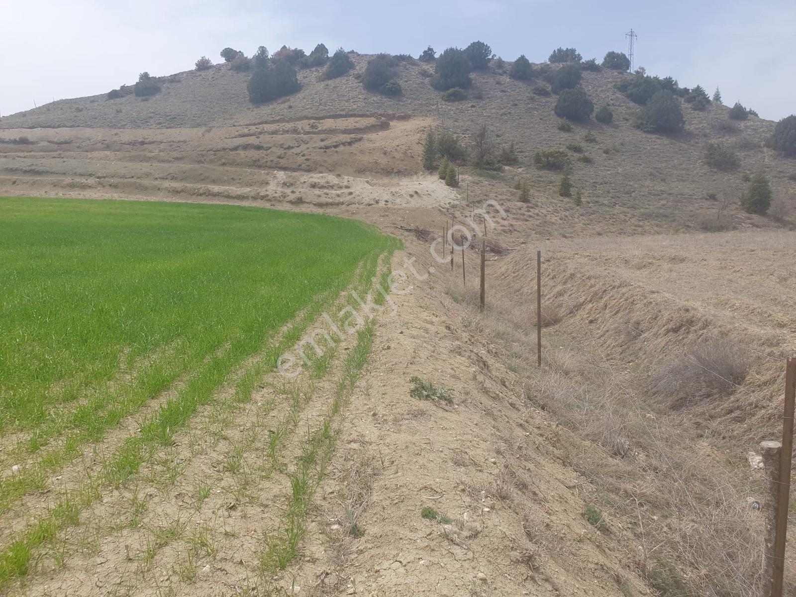 Usta Gayrimenkul'den Satılık Burdur Kemer'de 36.773 M2 Tarla - Görsel 8