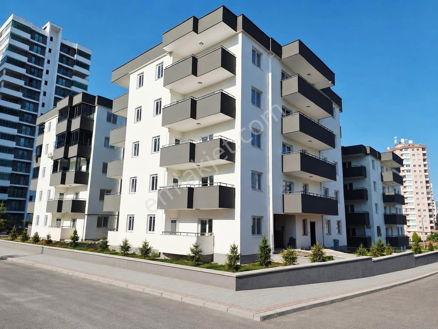 Hızlı Olan Kazanır 100.yılda Alternatifi Olmayan Daire
