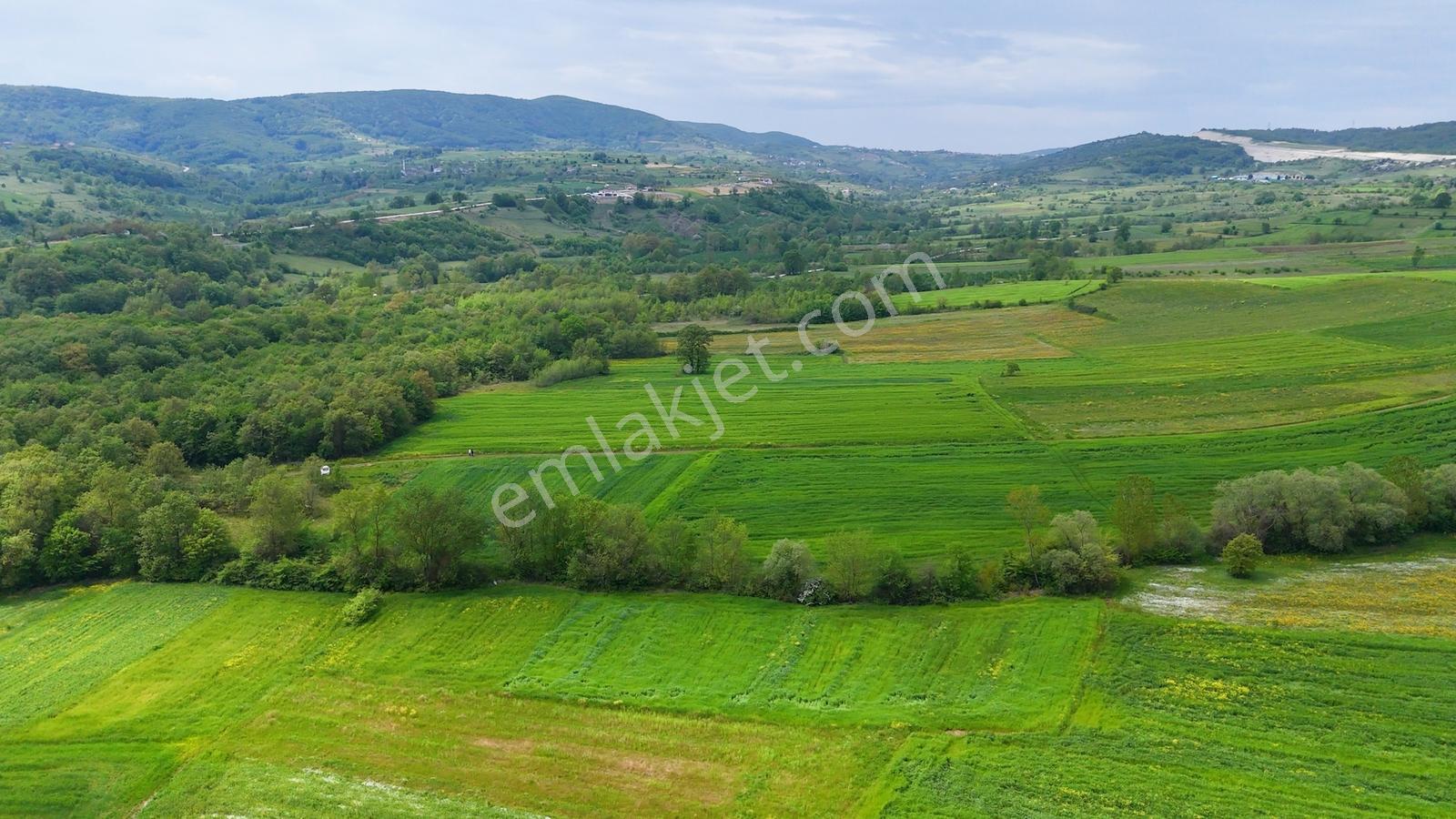 Kandıra Akçakese Satılık 1306 M2 Yatırımlık Arsa - Görsel 12
