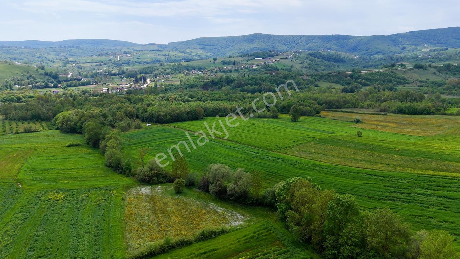 Kandıra Akçakese Satılık 1306 M2 Yatırımlık Arsa - Görsel 6