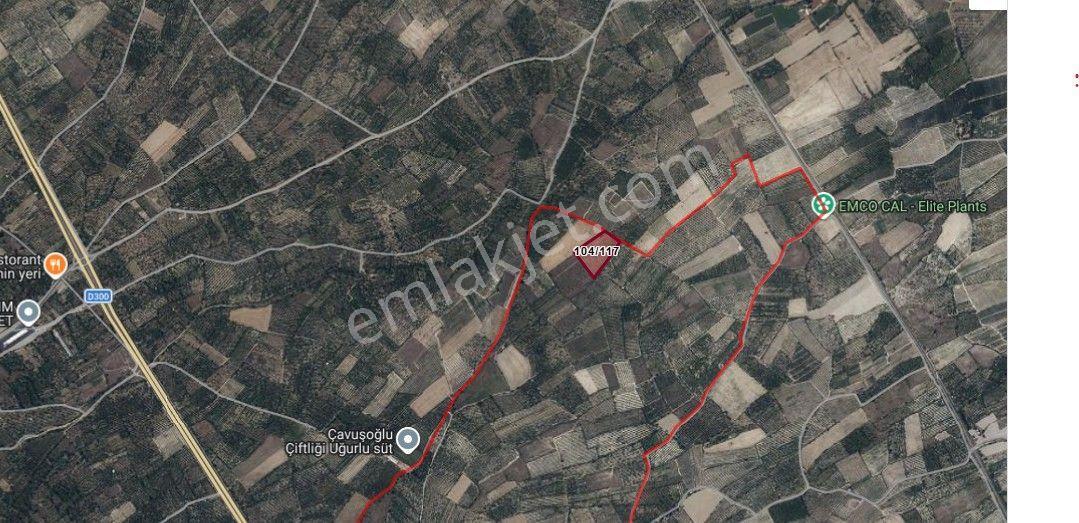 Akçay Emlak'tan Sultandağı Dereçine Mahallesinde Satılık 2 Parsel Meyve Bahçesi - Görsel 7