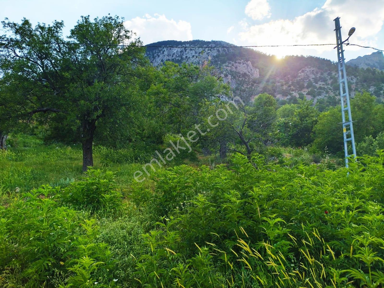 Kar Emlaktan Akçatekir Eskiköyde 385m2 Satılık Arsa - Görsel 6