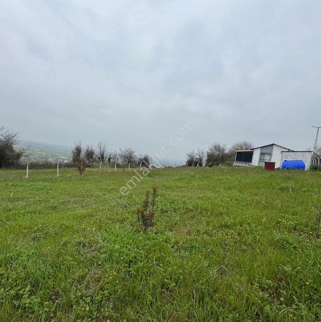 Kiralık Arsa 350m2 Samsun Tekkeköy Yavuzlar Mahallesi - Görsel 8