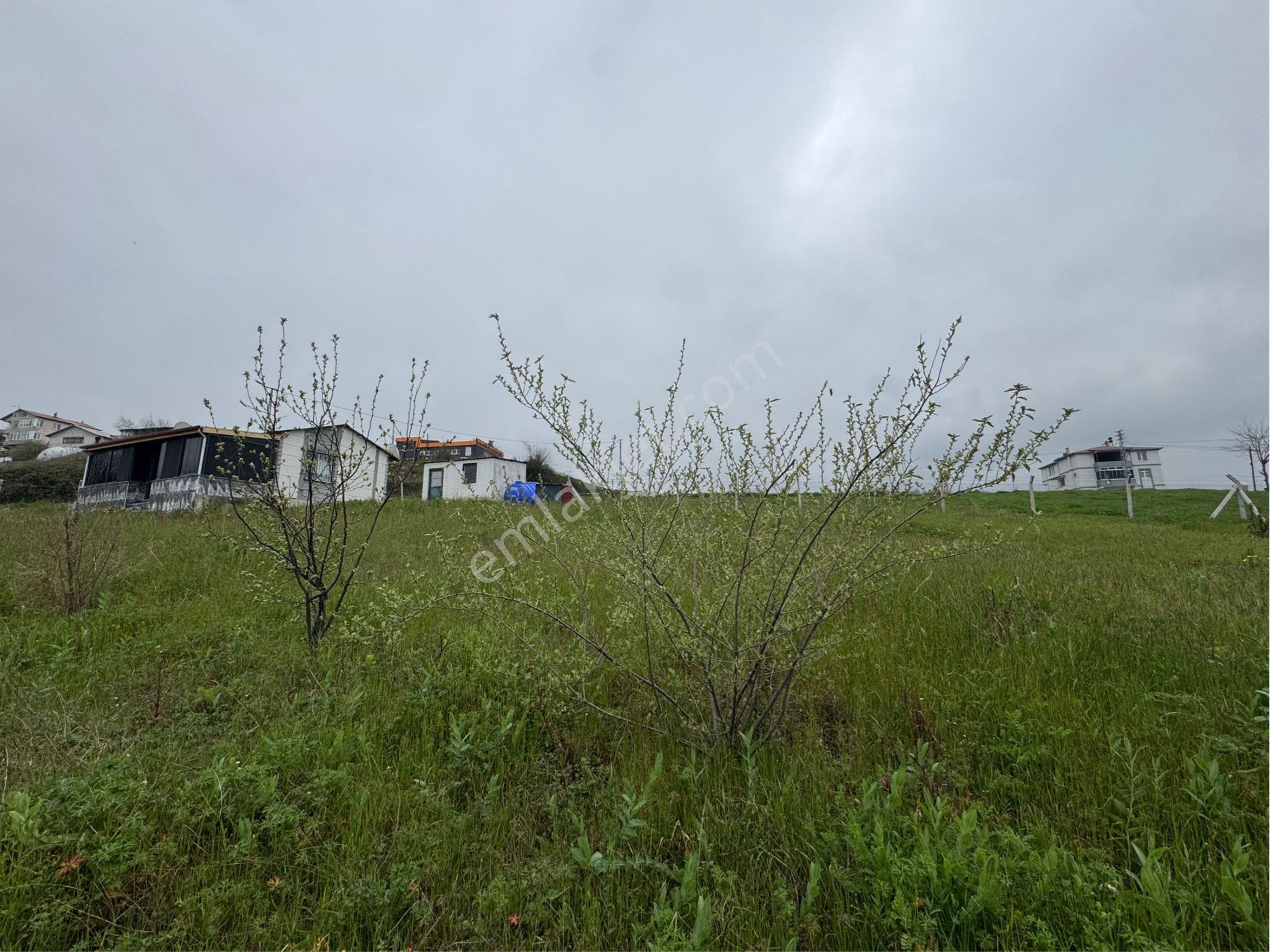 Kiralık Arsa 350m2 Samsun Tekkeköy Yavuzlar Mahallesi - Görsel 3