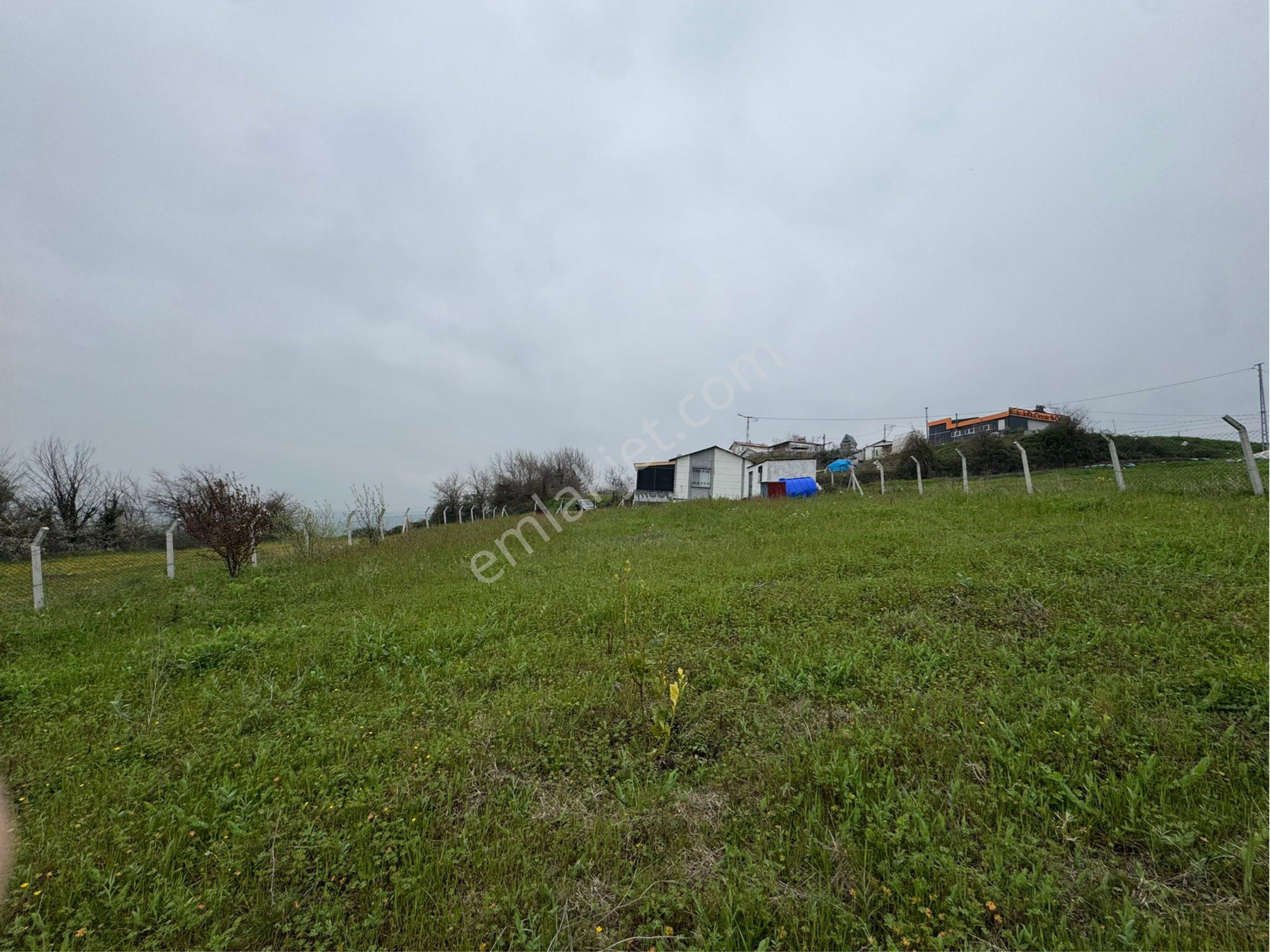 Kiralık Arsa 350m2 Samsun Tekkeköy Yavuzlar Mahallesi - Görsel 7