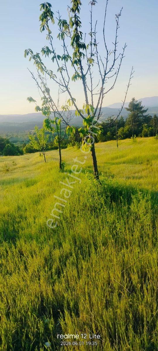 Bursa Harmancık Da 9.750 M2 Satılık Tarla - Görsel 10