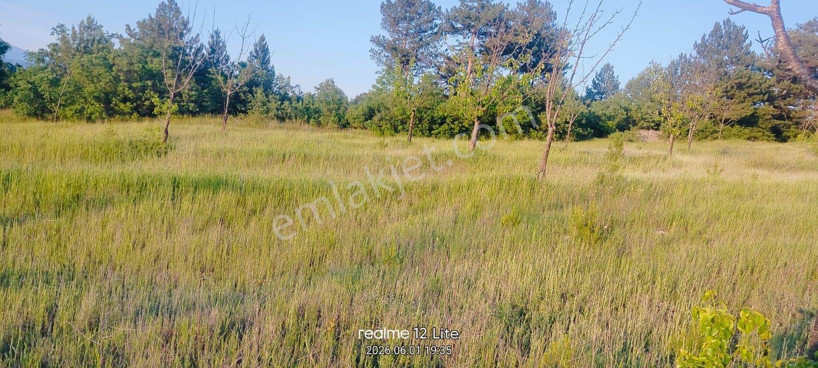 Bursa Harmancık Da 9.750 M2 Satılık Tarla - Görsel 6