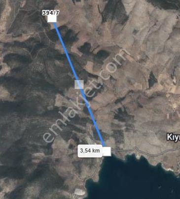 Dıalog Myra Dan Muğla Kıyıkışlacık Ta Evyapılabilir Zeytinlik - Görsel 9