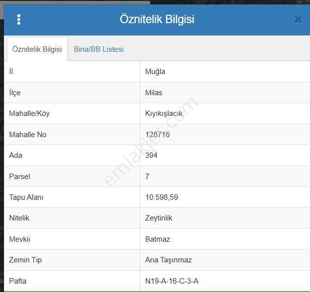 Dıalog Myra Dan Muğla Kıyıkışlacık Ta Evyapılabilir Zeytinlik - Görsel 2