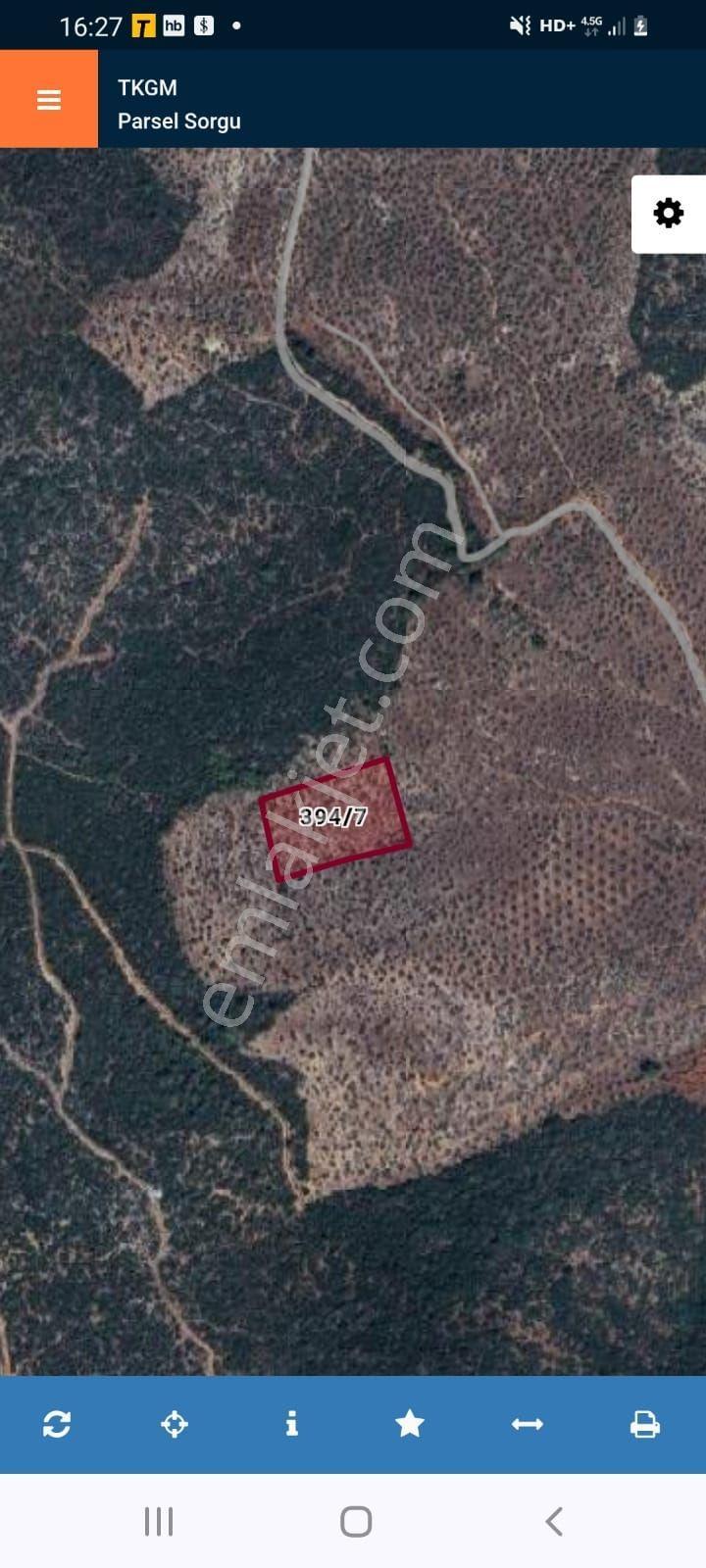 Dıalog Myra Dan Muğla Kıyıkışlacık Ta Evyapılabilir Zeytinlik - Görsel 8