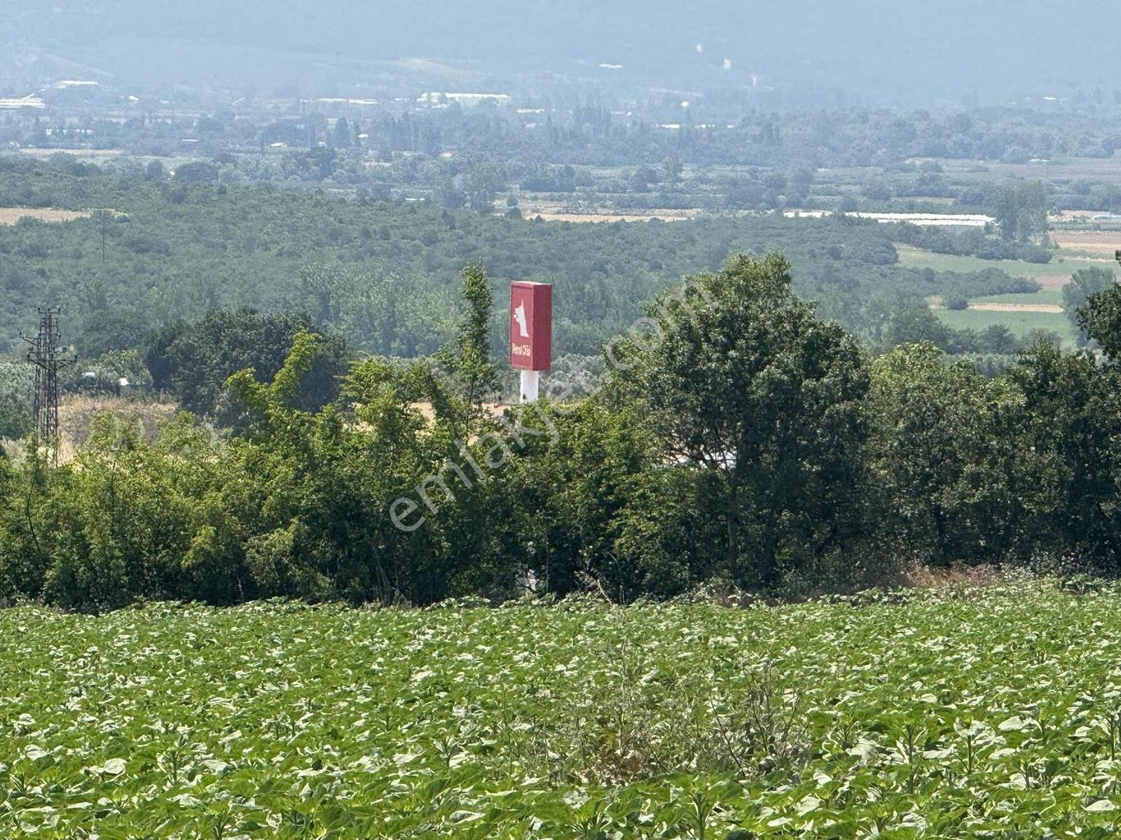 Başköy'de İzmir Yoluna Ve Sanayiye Yakın Konumda Satılık Tarla - Görsel 2