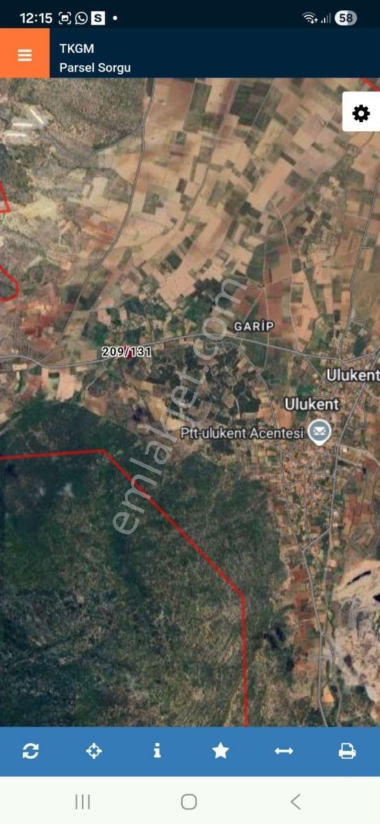 Nehirden Tavas Ulukentte Satılıl Ceviz Bahçesi - Görsel 12