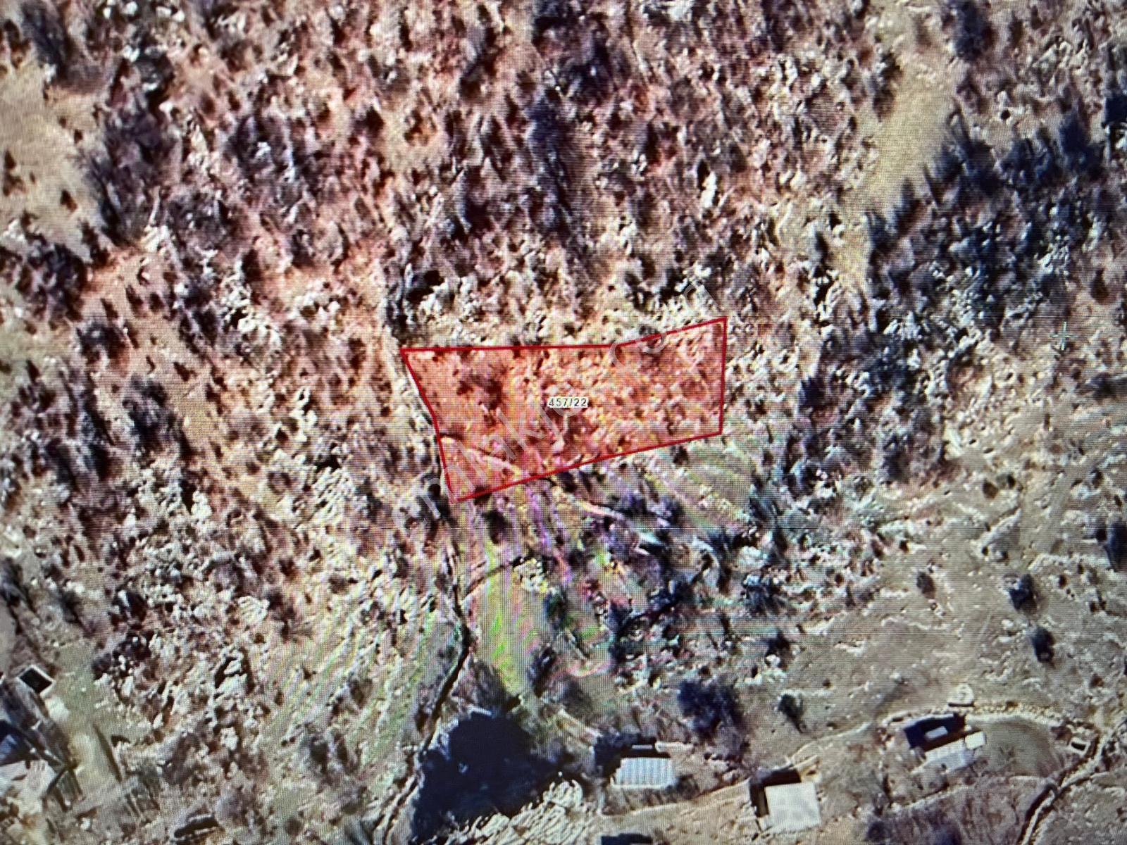 Alanya Fakırcalı Mah.tırılar Garipli Mevkii Satılık 1.534,71 M2