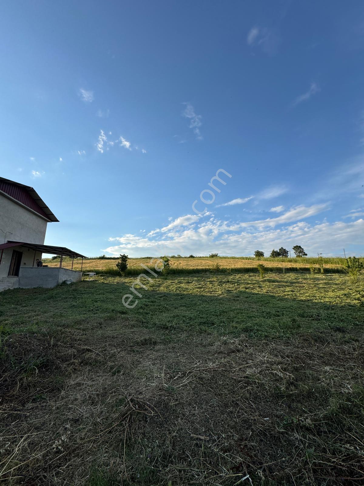 Samsun Bafra Da Satılık 6809 M² Tarla Ve Müstakil Ev - Görsel 5