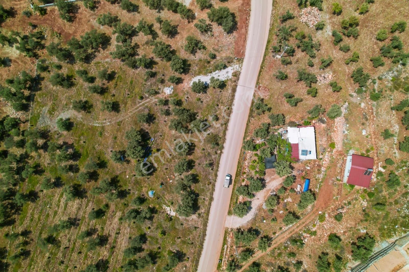 Kaş Çavdır’da Doğa İçinde 80 M² 3+1 Müstakil Yaşam Ve 1.273 M² Bahçe - Görsel 6