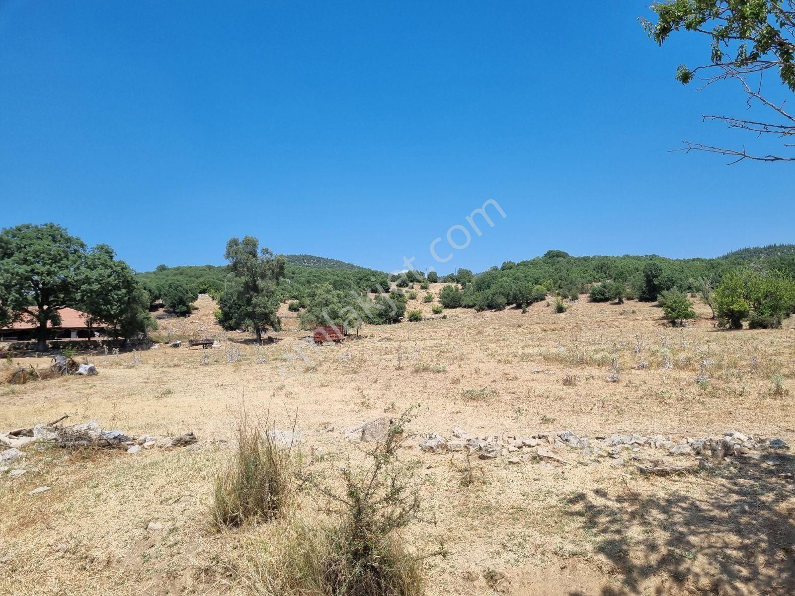 Satılık Tarla Burdur Aglasun Hamam Köyü 5.237 M2. - Görsel 6