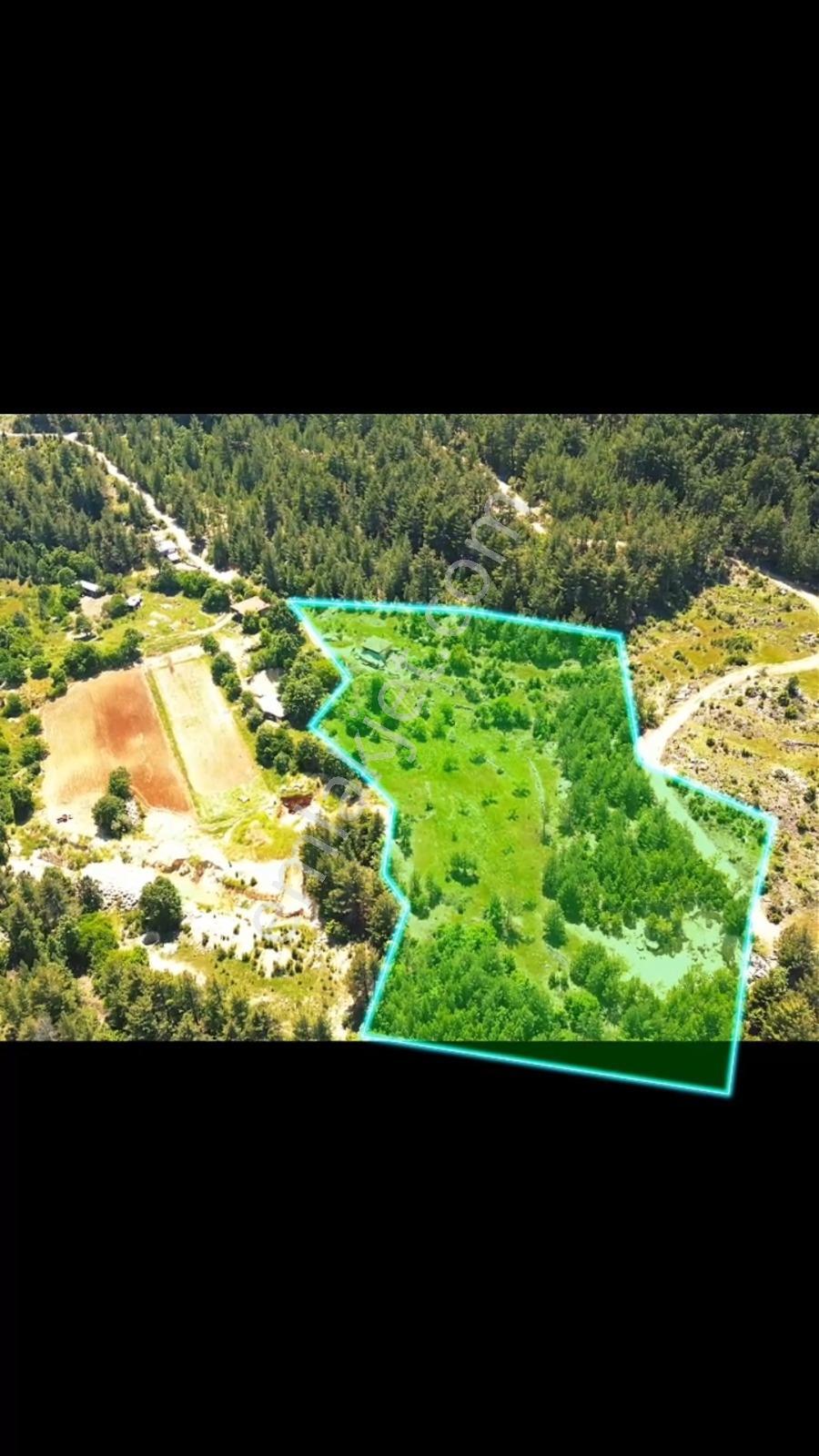 Bucak Dutalan Köyü 85.000 M2 Arazi - Görsel 6