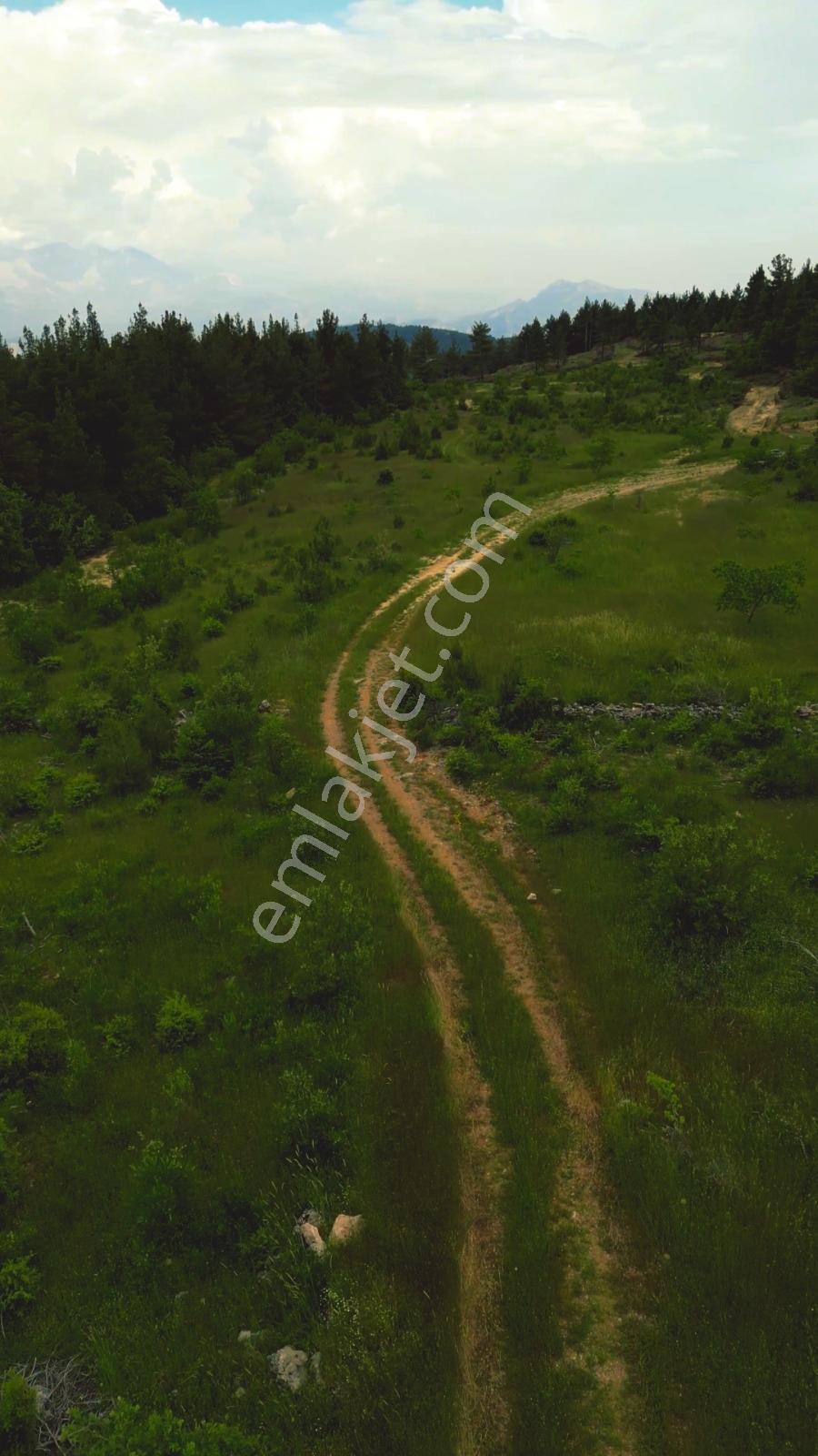 Bucak Dutalan Köyü 85.000 M2 Arazi - Görsel 10
