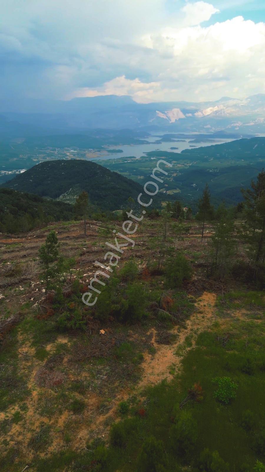 Bucak Dutalan Köyü 85.000 M2 Arazi - Görsel 3