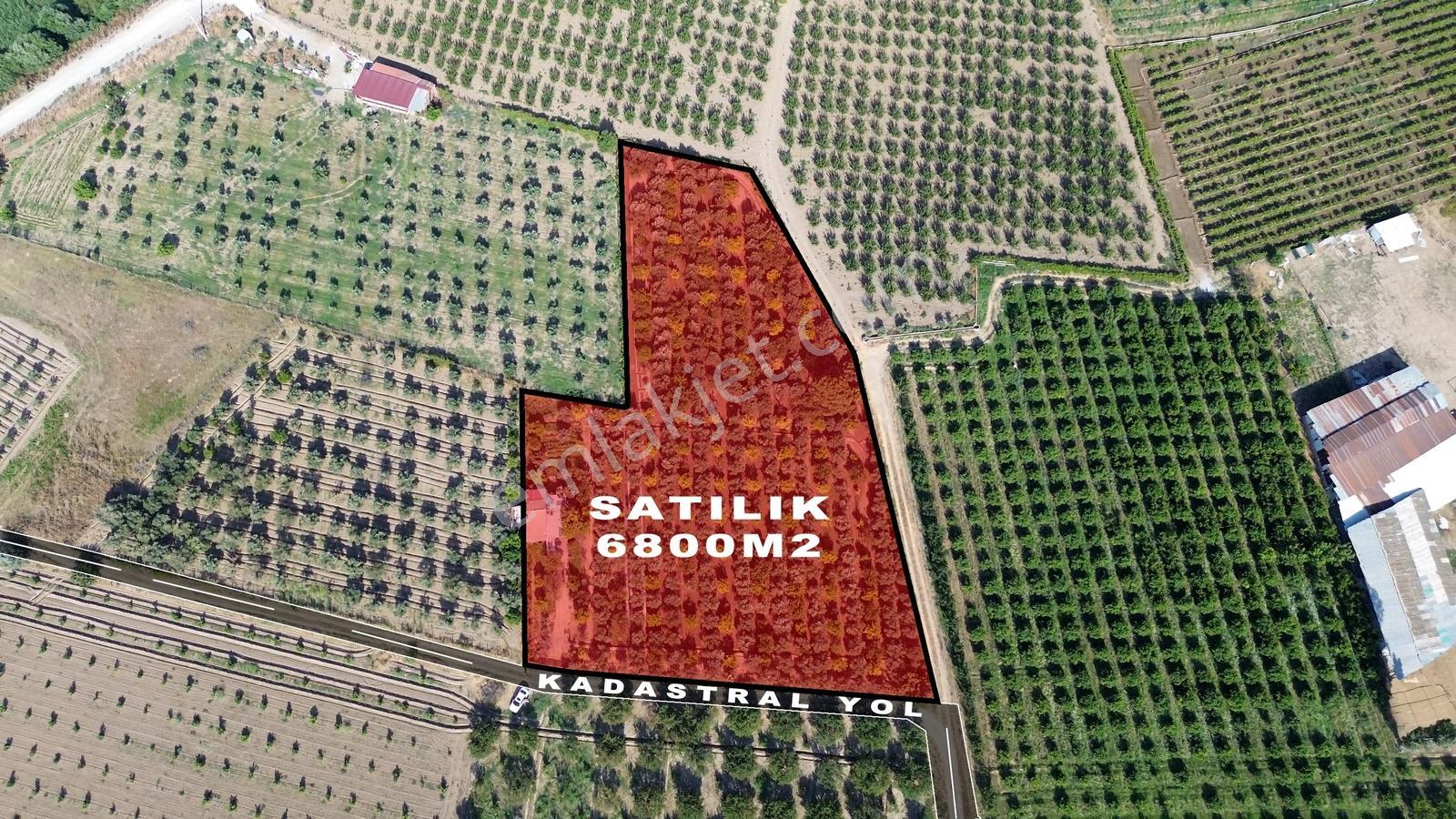 Şehre Yakın, Doğayla İç İçe! 1+1 Evli Ve Bakımlı Zeytinlik & Bağ - Görsel 20