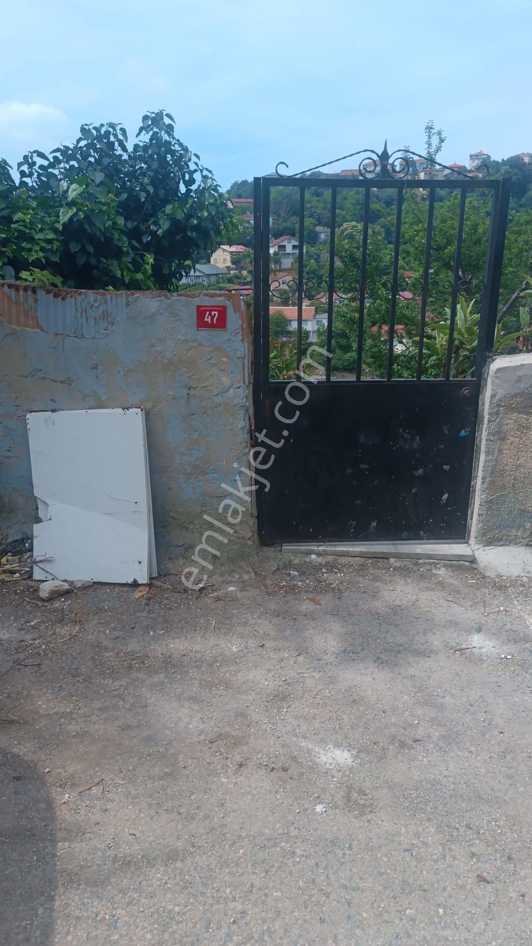 Kiralık Beykoz Tokatkoyunde Müstakil Bahçeli Ev - Görsel 6