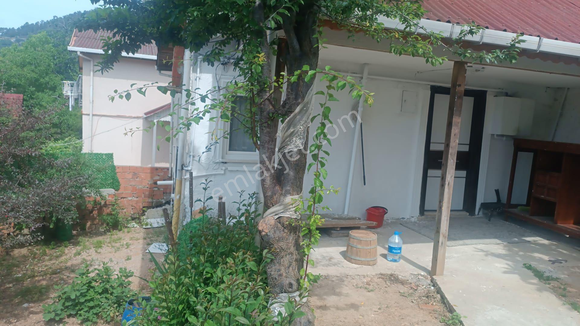 Kiralık Beykoz Tokatkoyunde Müstakil Bahçeli Ev - Görsel 7